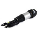 Air Suspension Strut Arnott AS-2246