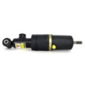 Air Suspension Strut Arnott AS-2246