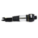 Air Suspension Strut Arnott AS-2246