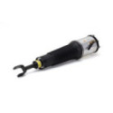 Air Suspension Strut Arnott AS-2463