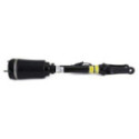 Air Suspension Strut Arnott AS-2463