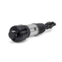Air Suspension Strut Arnott AS-2786