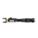 Shock Absorber Arnott SK-3217