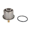 Thermostat, coolant THERMOTEC D2DA007TT