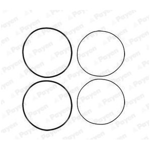 Gasket Set, cylinder liner PAYEN HL5191