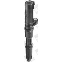 Ignition Coil BorgWarner (BERU) ZS052