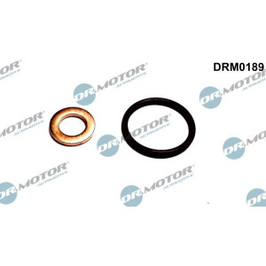 Tihendikomplekt, Sissepritsedüüs Dr.Motor Automotive DRM0189