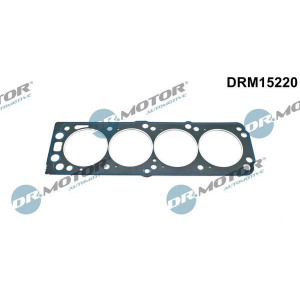 Прокладка, головка цилиндра Dr.Motor Automotive DRM15220