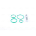 Expansion Valve, air conditioning NISSENS 999233