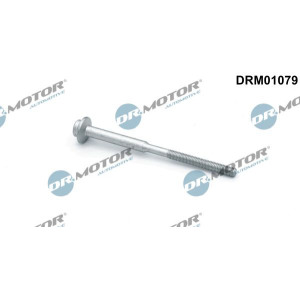 Болт, крепление форсунки Dr.Motor Automotive DRM01079