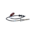 Andur, heitgaasitemperatuur NRF 707024