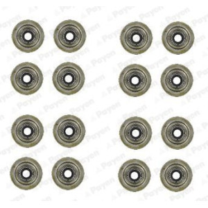 Seal Set, valve stem PAYEN HR752
