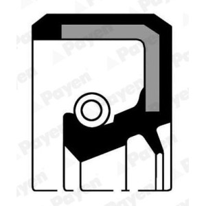 Shaft Seal, camshaft PAYEN NJ765