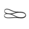 V-Ribbed Belt BOSCH 1 987 945 718