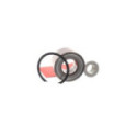 Комплект подшипника ступицы колеса SKF VKBA 3598
