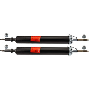 Shock Absorber TRW JGT1108T