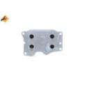Oil Cooler, engine oil NRF 31812