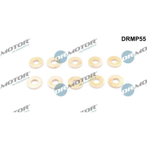 Heat Shield, injection system Dr.Motor Automotive DRMP55