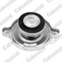 Cap, radiator CALORSTAT by Vernet RC0061