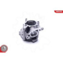 Pump,pidurisüsteem ESEN SKV 18SKV039