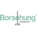 Впускной клапан Borsehung B19017