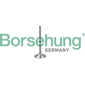 Впускной клапан Borsehung B19017