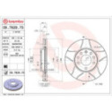 Brake Disc BREMBO 09.7629.75