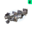 EGR Valve ERA 555317