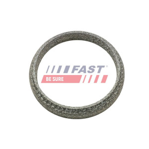 Tiiviste, pakoputki FAST FT84818