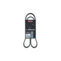 V-Ribbed Belt KAMOKA 7016062