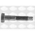 Clamping Bolt, ball joint SASIC 5223433