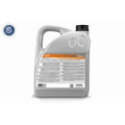 Automatic Transmission Fluid VAICO V60-0173
