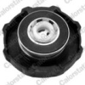 Cap, coolant tank CALORSTAT by Vernet RC0077