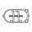 Ignition Coil BorgWarner (BERU) ZS077
