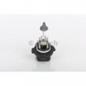 Bulb, fog light BOSCH 1 987 302 083