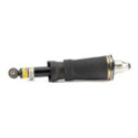 Air Suspension Strut Arnott AS-3223