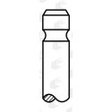 Intake Valve AE V91271