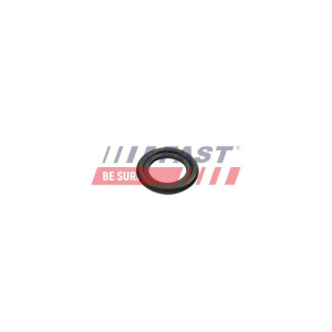 Seal Ring, oil drain plug FAST FT49860