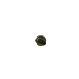 Датчик, давление подачи топлива BOSCH 0 281 006 160