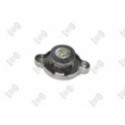 Cap, radiator ABAKUS 051-027-002
