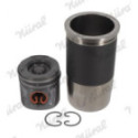 Repair Kit, piston/cylinder liner NÜRAL 88-423000-00