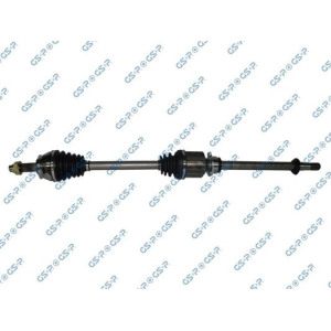 Vetoakseli GSP 217079