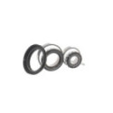Комплект подшипника ступицы колеса SKF VKBA 7474