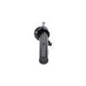 Амортизатор KAVO PARTS SSA-10036