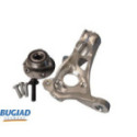Steering Knuckle, wheel suspension BUGIAD BSP25042PROKIT