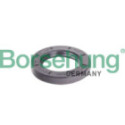 Akselitiiviste, vaihteisto Borsehung B12191