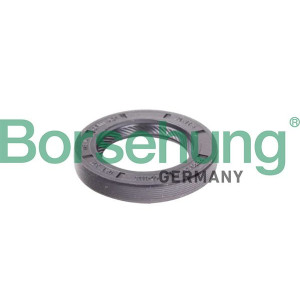 Shaft Seal, manual transmission Borsehung B12191