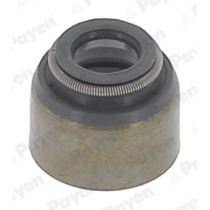 Seal Ring, valve stem PAYEN PA079