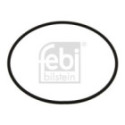 Tiiviste, laippa-kseskipakopuhdistin FEBI BILSTEIN 35622