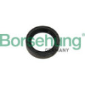 Shaft Seal, clutch release bearing shaft Borsehung B12192